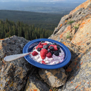 Icelandic Skyr and Granola